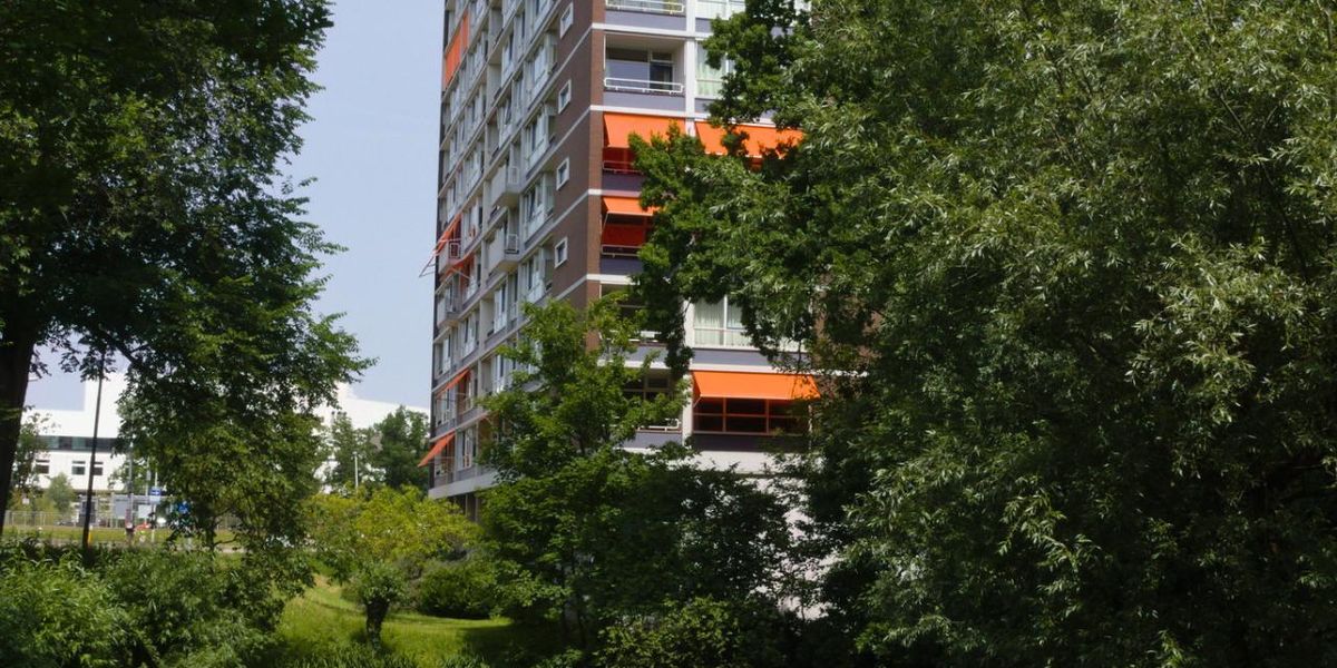Westmount: appartement with 3 bedrooms, Staging rental